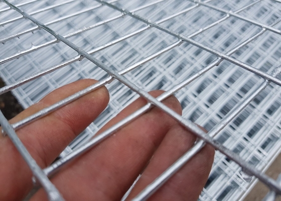 fil galvanisé par 12mm Mesh Panels de 100x100mm