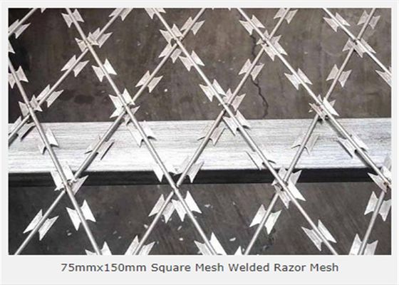Argenté galvanisé a soudé l'ouverture du grillage 75x150mm de rasoir de 3.2mm